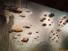 -中国湿地博物馆