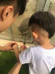 -萌宠亲子动物乐园(槐房万达店)