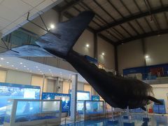 -上海海洋大学鱼文化博物馆(军工路校区)