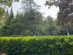 -汤山公园