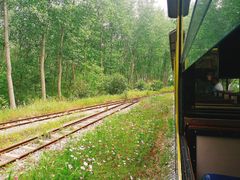 -合肥滨湖国家森林公园