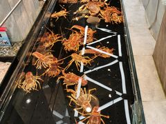 -海鲜e族(马王堆店)