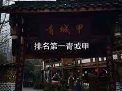-青城甲(青城山店)