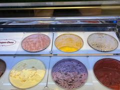 面包甜点陈列柜-哈根达斯(深圳海岸城店)
