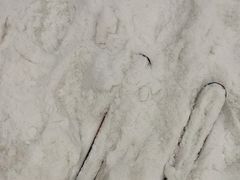 -乔波室内滑雪场