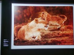 -罗红摄影艺术馆