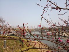 -白塘生态植物园