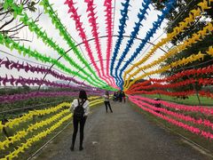 -田园东方蜜桃村的田野营地