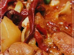 -巴依老爷新疆美食(望京小街店)