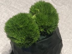 -南堂馆·新川菜(春熙路店)