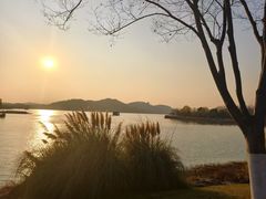 -东湖落雁景区
