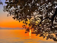 -柳莺湖上·湖景餐厅·江南菜(西湖店)