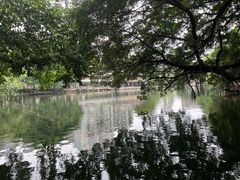 -荔湾湖公园