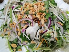 -东鸽皇(奥园·中环广场店)