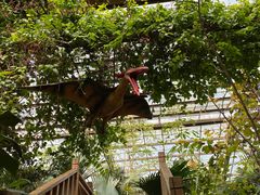 -呀路古热带植物园