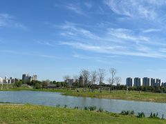 -洋湖国家湿地公园