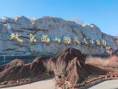 -北京西山国家森林公园