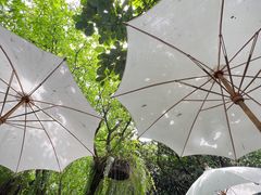 -Fern Forest Cafe