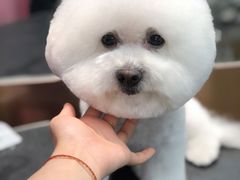 -萌兽医馆·眼科·异宠专科(三里屯店)