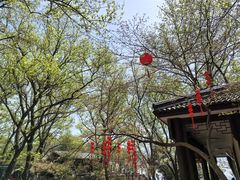 -虞山风景区
