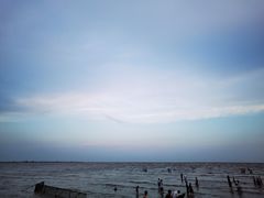 -奉贤海滩