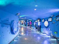 -烟台海昌鲸鲨海洋公园