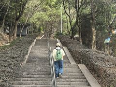 -天目山-昭明禅寺