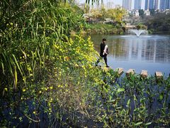 -重庆彩云湖湿地公园