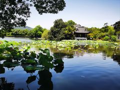 -马灯部落·西湖边的创意山景餐厅(虎跑动物园店)