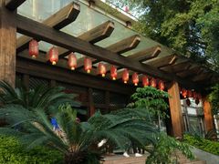 -南宁良凤江国家森林公园