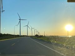 -真利味·脊骨火锅·正宗韩国料理(韩乐坊店)