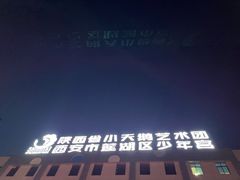 -陕西省小天鹅艺术团