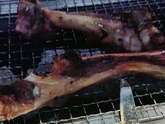 -柿子树炭烤羊腿(金台路店)