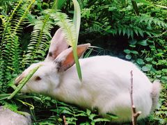-香园自助小火锅