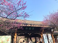 -杭州植物园