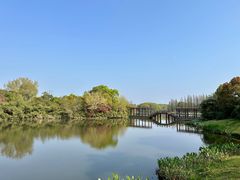 -艾溪湖湿地公园