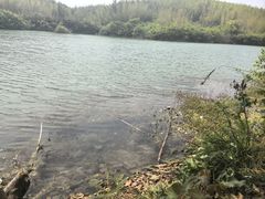 -句容茅山景区