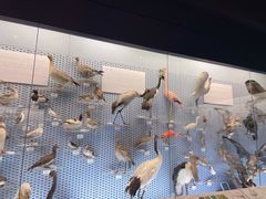 -浙江自然博物院(杭州馆)