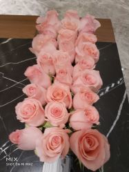 -丽妍雅集 Rubis SPA