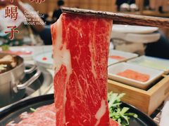 -浩爷羊蝎子火锅(望京店)