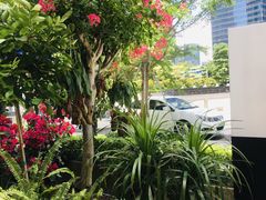 -农畉LONFOOD(福田星河COCOPark店)