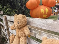 -HERRE·FARM 赫尔露营农场·团建聚会包场