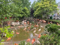 -大连森林动物园