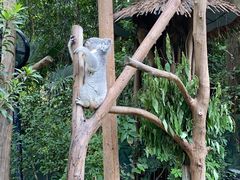 -广州长隆野生动物世界