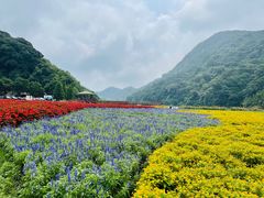 -广州市石门国家森林公园