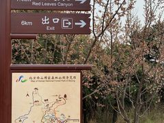 -鬼笑石后山停车场
