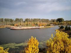 -东郊湿地公园