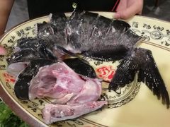 -云中鱼蒸汽石锅鱼(川沙百联店)