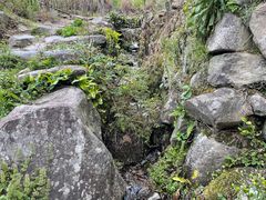 -塔川景区