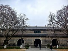 -灵谷景区